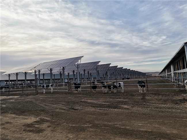 GREEN战略引领价值链 夯实可持续发展韧性——蒙牛发布2024年可持续发展报告(图3) GREEN战略引领价值链 夯实可持续发展韧性——蒙牛发布2024年可持续发展报告(图3)