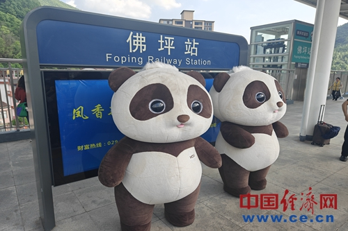 【发现最美铁路】打破交通瓶颈 西成高铁开启“熊猫第一县”经济发展引擎(图3) 【发现最美铁路】打破交通瓶颈 西成高铁开启“熊猫第一县”经济发展引擎(图3)