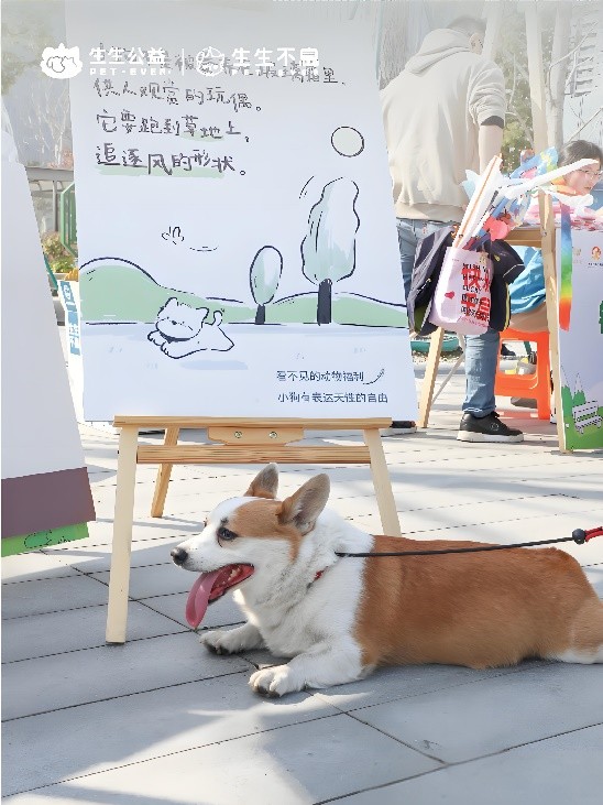 杭州社区动物文明日活动圆满落幕,生生不息携手市政共筑宠物友好城市新生态(图2) 杭州社区动物文明日活动圆满落幕,生生不息携手市政共筑宠物友好城市新生态(图2)