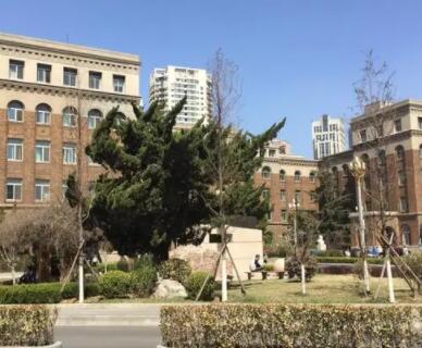 2023大连无挂钩义齿口腔医院前10名排名供你甄选！大连沙医生整形美容口腔专科医院名单_口碑公布(图6)